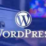 小弟一枚的头像-WordPress主题模板-zibll子比主题