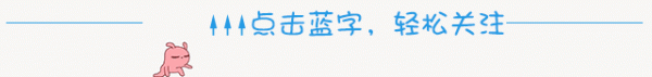 北蚁系统功能之---SEO优化功能-Zibll主题演示