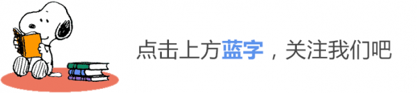 新手必备seo优化技巧-Zibll主题演示