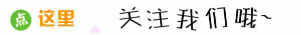 SEO优化与百度竞价孰优孰劣？-WordPress主题模板-zibll子比主题官方演示