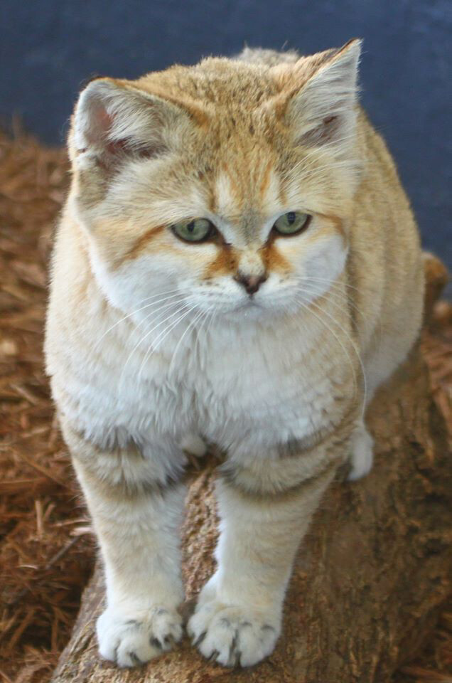 f2ff96a4809d41599564d16e15178aa0