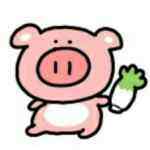 PiG.-WordPress主题模板-zibll子比主题官方演示