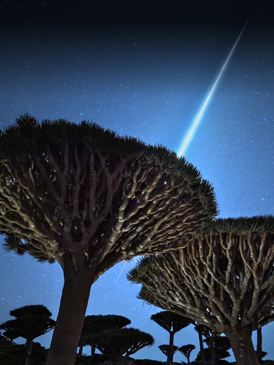 影像 同享影像创作的愉悦-WordPress主题模板-zibll子比主题官方演示