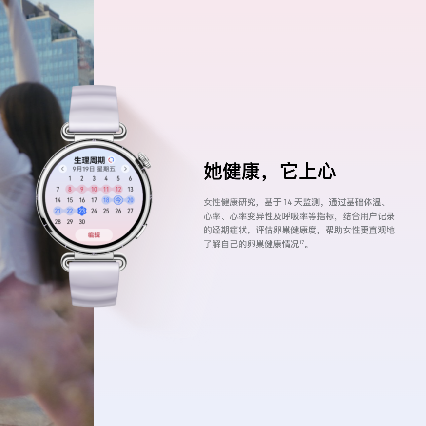 更优雅的Wordpress主题模板_WP社区论坛商城主题_zibll子比主题官方演示