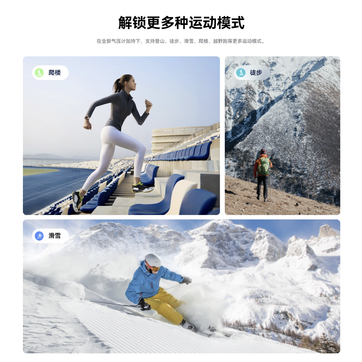 更优雅的Wordpress主题模板_WP社区论坛商城主题_zibll子比主题官方演示