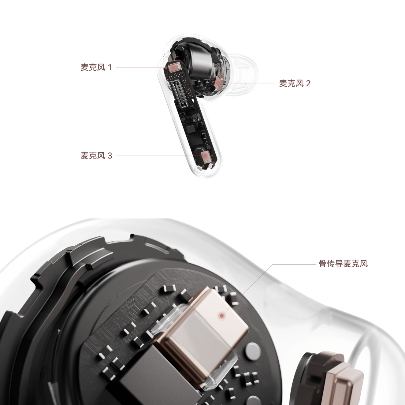 更优雅的Wordpress主题模板_WP社区论坛商城主题_zibll子比主题官方演示