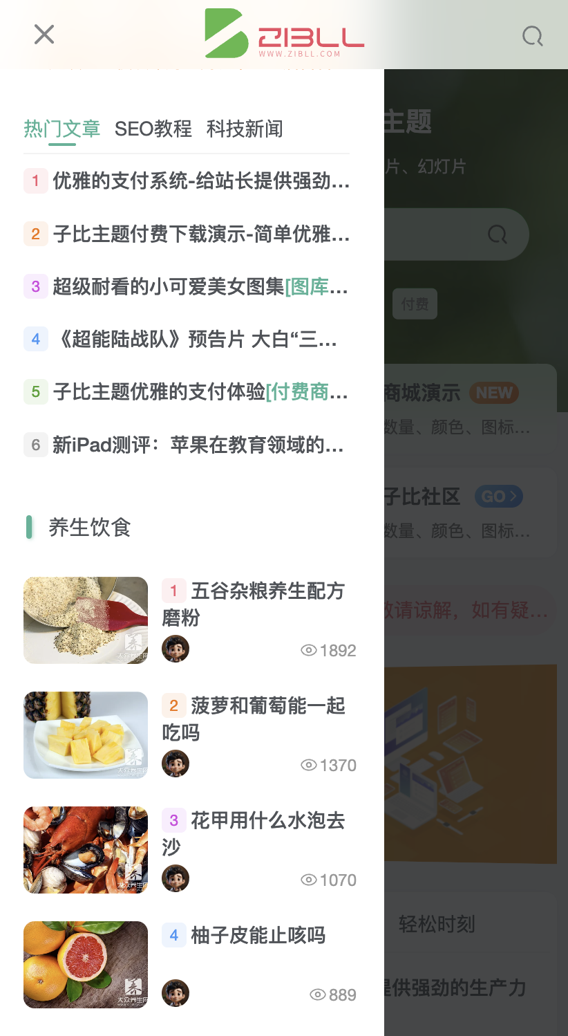 图片[12]-Zibll子比主题-顶部导航栏及菜单配置教程-WordPress主题模板-zibll子比主题
