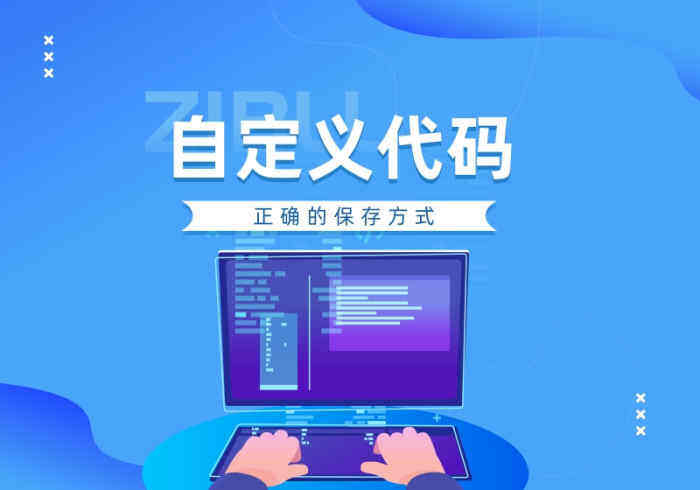 Zibll子比主题正确使用自定义代码示例及教程-Wordpress主题模板-zibll子比主题