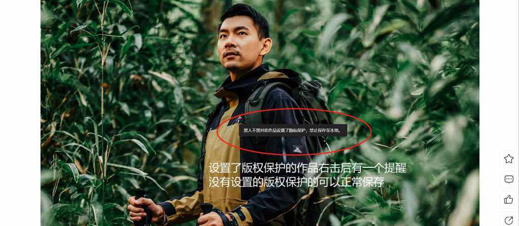 在文章的功能希望希望更新的几个点-Wordpress主题模板-zibll子比主题