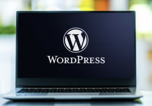 WordPress插件社区-WordPress插件板块-WordPress-WordPress主题模板-zibll子比主题