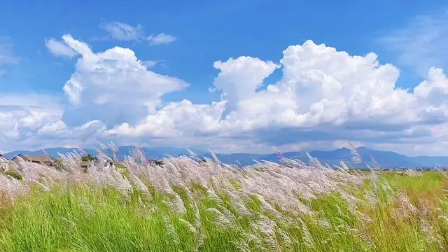 用户封面