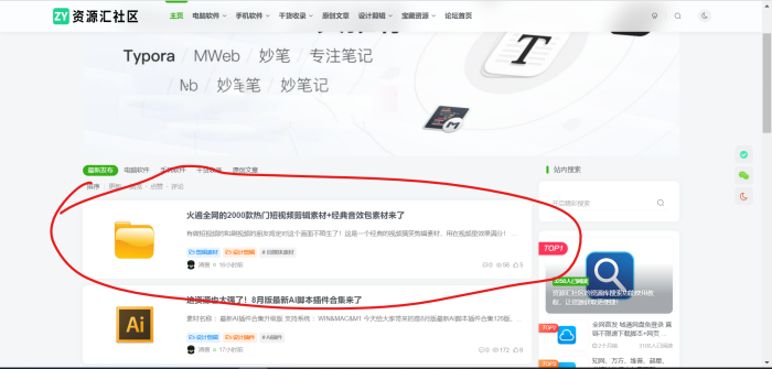 两个小问题-WordPress主题模板-zibll子比主题