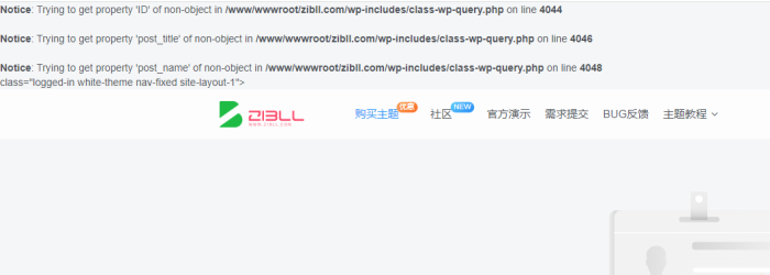 报提示哎！-WordPress主题模板-zibll子比主题
