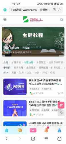 咱这种分类页面下面的分类选项是怎么设置的?-WordPress主题模板-zibll子比主题