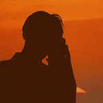 一只风流猫的头像-WordPress主题模板-zibll子比主题