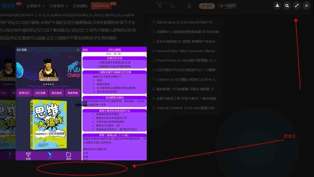 图片显示的这些东西能否换个位置-zibll需求提交社区-zibll子比主题-WordPress主题模板-zibll子比主题