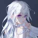 用户91327988的头像-WordPress主题模板-zibll子比主题