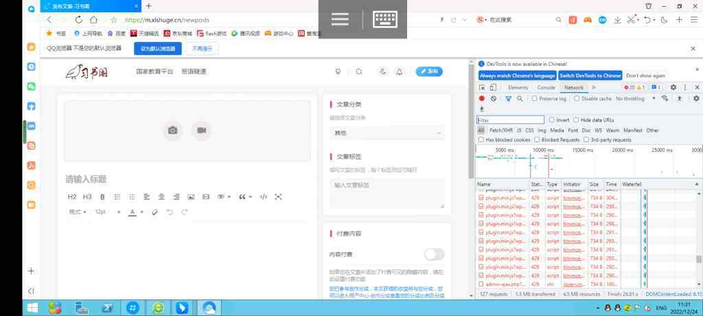 cdn配置问题-WordPress主题模板-zibll子比主题