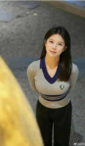 东方美zsbd-WordPress主题模板-zibll子比主题