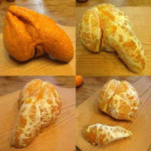 兄弟们，忙累了吃个橘子🍊-WordPress主题模板-zibll子比主题