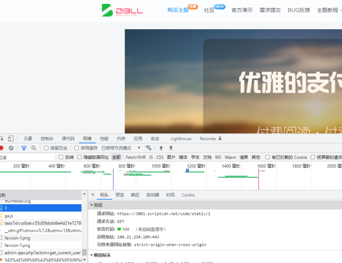 问下唐老大，网站加载的这些网址是干嘛用的-WordPress主题模板-zibll子比主题