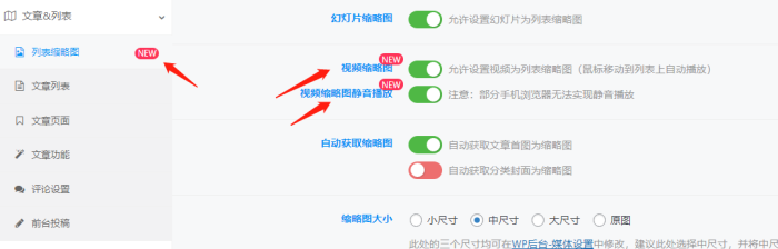 新版本V6.9.2：视频封面静音播放的设置，给大家找到了-WordPress主题模板-zibll子比主题