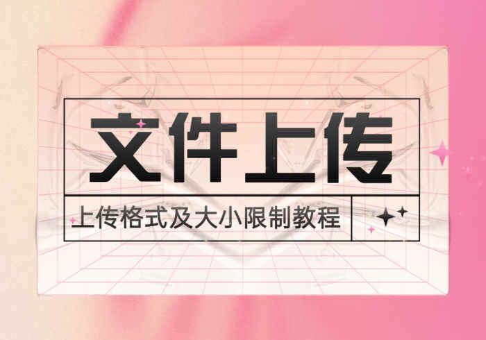 zibll子比主题配置不同类型用户文件上传格式、上传大小限制教程[V7新功能]-WordPress主题模板-zibll子比主题
