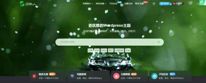 请问demo首页的视频怎么做出来的?-WordPress主题模板-zibll子比主题