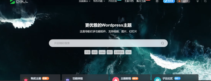 这搜索框怎么启用的，没找到教程的-WordPress主题模板-zibll子比主题