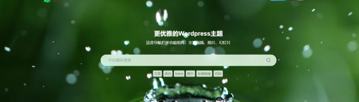 这个上面的文字怎么大小设置？-WordPress主题模板-zibll子比主题