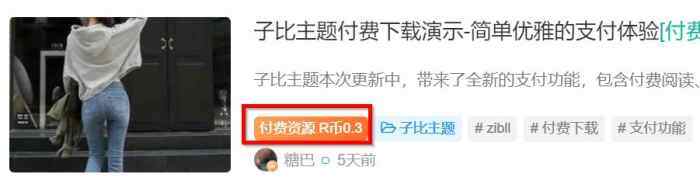 关于文章付费资源的这几个字如何修改？-WordPress主题模板-zibll子比主题