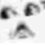 xdzb的头像-WordPress主题模板-zibll子比主题