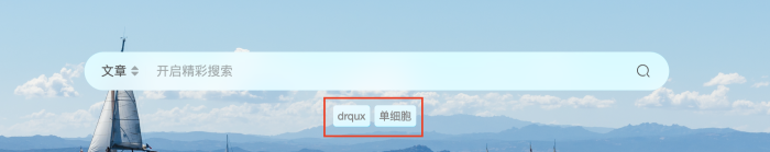 首页的热门搜索关键词怎么隐藏？-WordPress主题模板-zibll子比主题