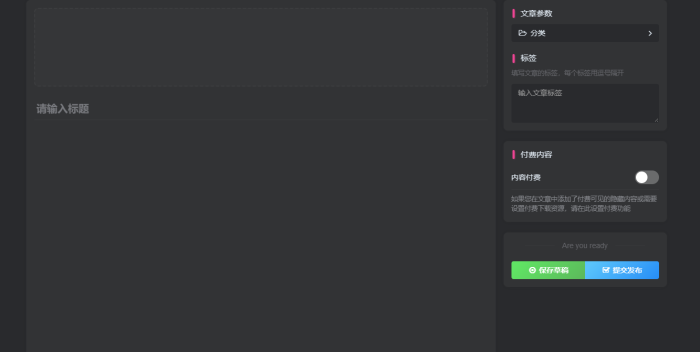 求助，前台发布文章什么都不显示了-WordPress主题模板-zibll子比主题