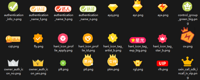 【勋章】精品勋章分享第一期·一些好看的认证勋章-WordPress主题模板-zibll子比主题