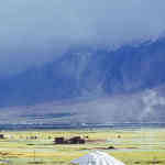 Xiumiao的头像-WordPress主题模板-zibll子比主题