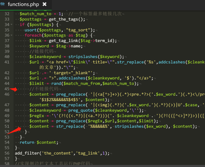 文章页面报错啦，求指点-WordPress主题模板-zibll子比主题