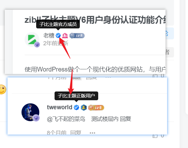 【提问】身份认证如何做到可以显示不同认证身份的呢？-zibll综合交流社区-zibll子比主题-WordPress主题模板-zibll子比主题
