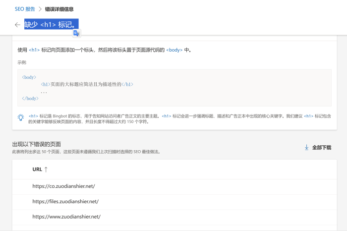针对bing站长工具，网站首页出现“缺少  标记”错误，这样处理是否合适？-WordPress主题模板-zibll子比主题