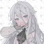 Yogdunana的头像-WordPress主题模板-zibll子比主题