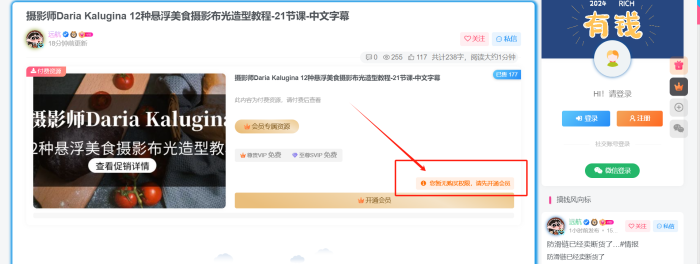 求助！求助！文章内的系统提示文字是在哪个文件里面修改的？-WordPress主题模板-zibll子比主题