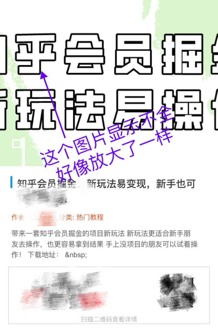 海报分享时的图片长宽比例问题-WordPress主题模板-zibll子比主题