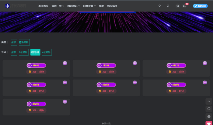 子比靓号插件体验版1.0.1 开放10个卡密-WordPress主题模板-zibll子比主题