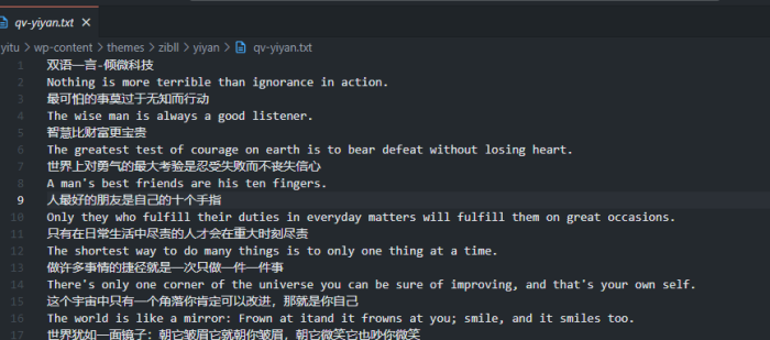 主题里面居然有yiyan是什么情况-WordPress主题模板-zibll子比主题