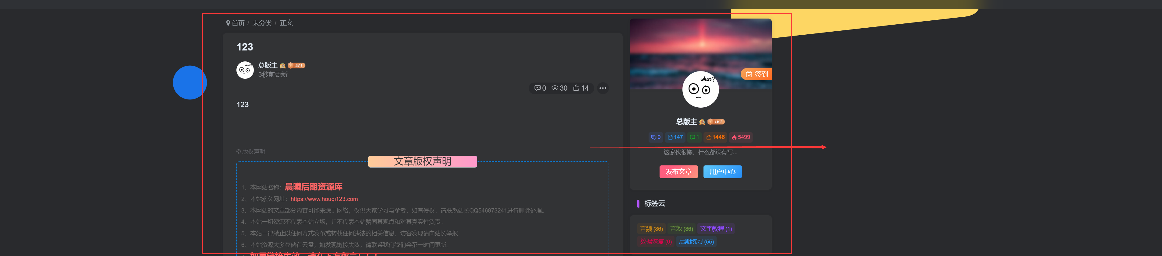 求教！如何让文章页居中-WordPress主题模板-zibll子比主题