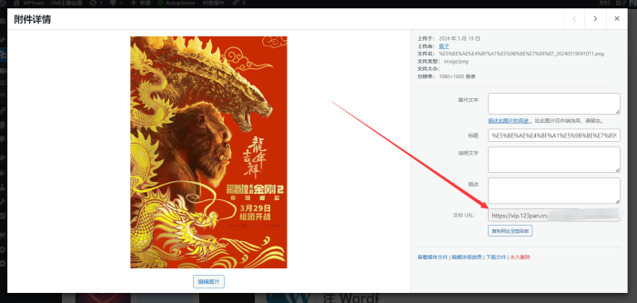 WordPress导入外链图片到媒体库-WordPress主题模板-zibll子比主题