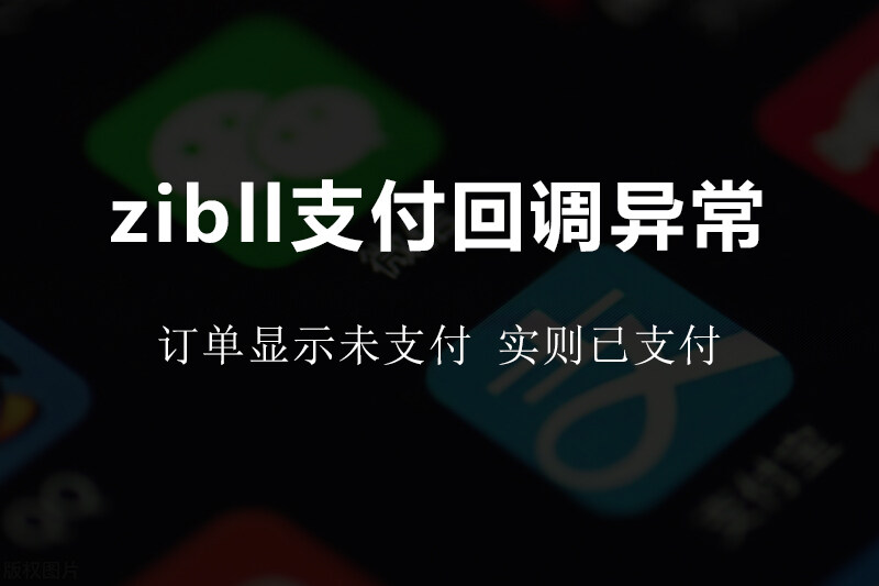 【已解决】支付回调异常-zibll综合交流社区-zibll子比主题-WordPress主题模板-zibll子比主题