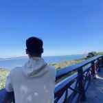 王抑云的头像-WordPress主题模板-zibll子比主题