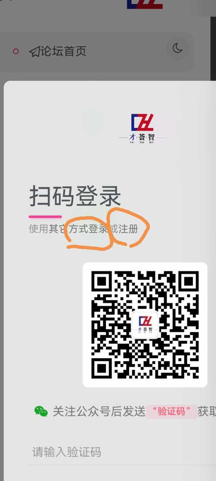 登入栏“注册和其他方式登入，字体形式颜色”怎么调成醒目一点啊？-WordPress主题模板-zibll子比主题