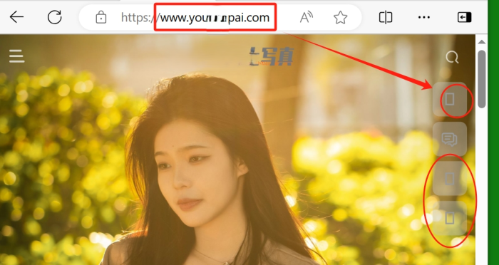 求助加www和不加www的域名出现图标显示不出的问题-WordPress主题模板-zibll子比主题